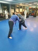 Diamond Mixed Martial Arts Academy MMA Muay Thai Kick Boxing Gracie Brazilian Jiujitsu Commando Krav Maga Get Fit Boot Camp and KidsChildren Mixed Martial Arts Summer Newsletter 2019