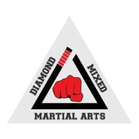 Diamond Mixed Martial Arts Academy MMA Muay Thai Kick Boxing Gracie Brazilian Jiujitsu Commando Krav Maga Get Fit Boot Camp and KidsChildren Mixed Martial Arts Summer Newsletter 2019
